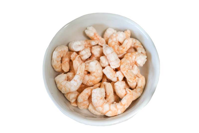 Shrimp Trainers 1oz Freeze Dried