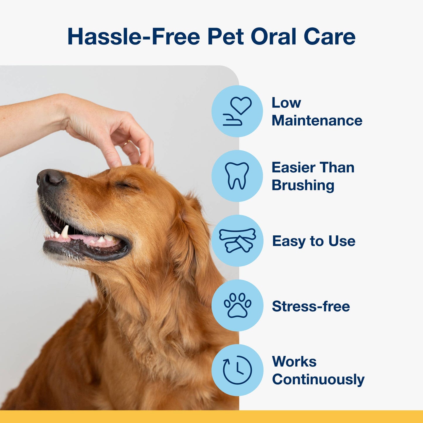 ProDen PlaqueOff® Dental Care Bones - Natural Bacon