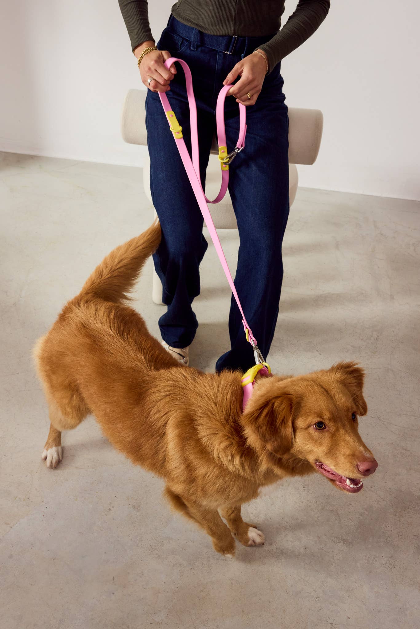 The Fritz Dog Leash | Leash wit Handle | Multi Dog Leash
