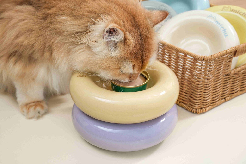 Michu Bagel Ceramic Cat Bowl – Anti-Whisker Wide Shallow Cat Food Bowl | 6 Colors