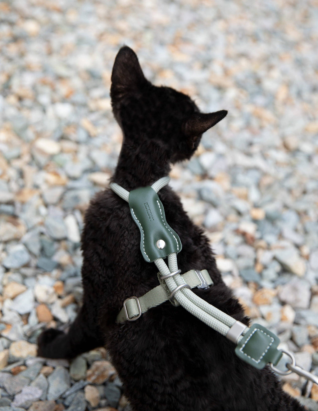 Escape Proof H-Shape Cat Harness and Leash Set Adjustable Ultra Lightweight Rope Walking Harness for Cats up to 17 lbs
