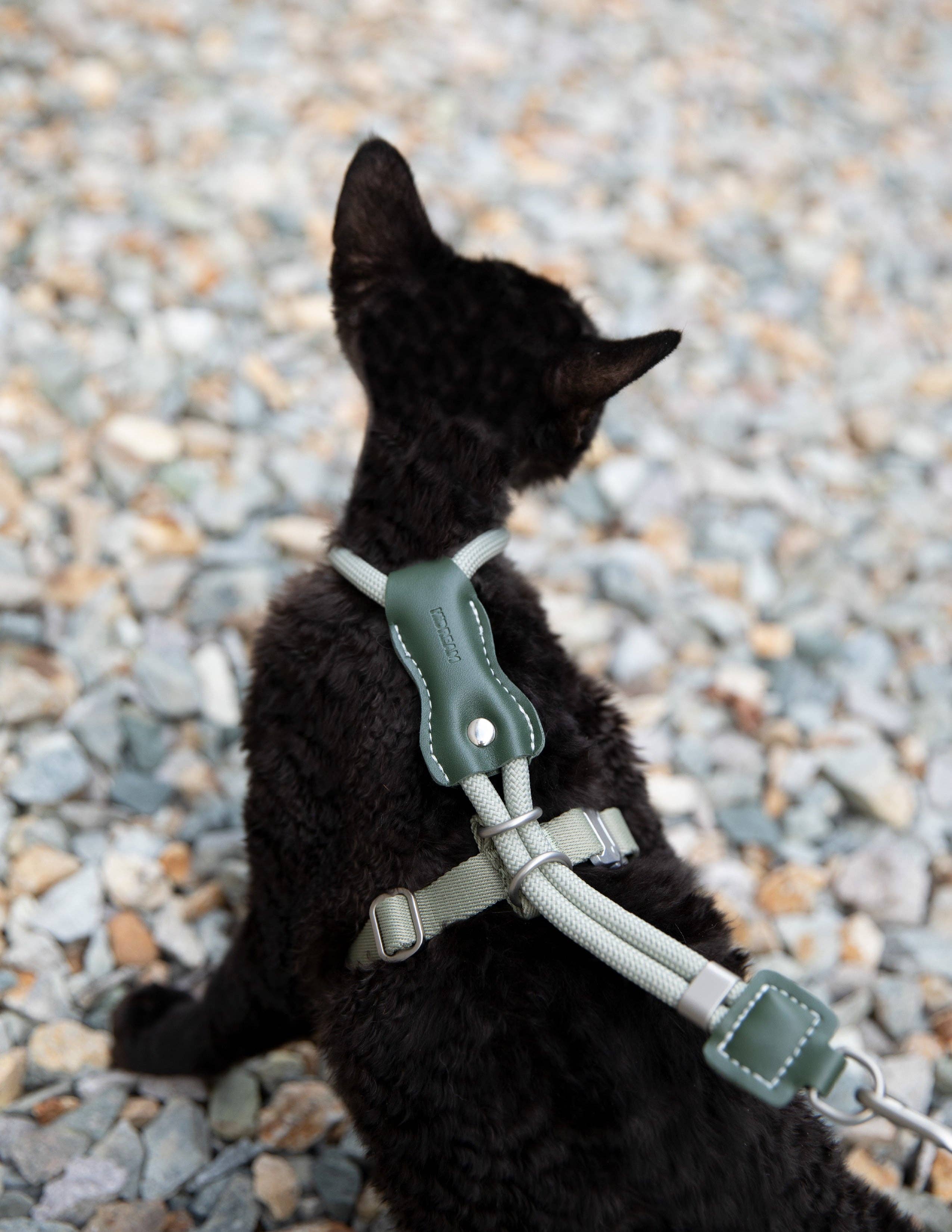 Escape Proof H-Shape Cat Harness and Leash Set Adjustable Ultra Lightweight Rope Walking Harness for Cats up to 17 lbs