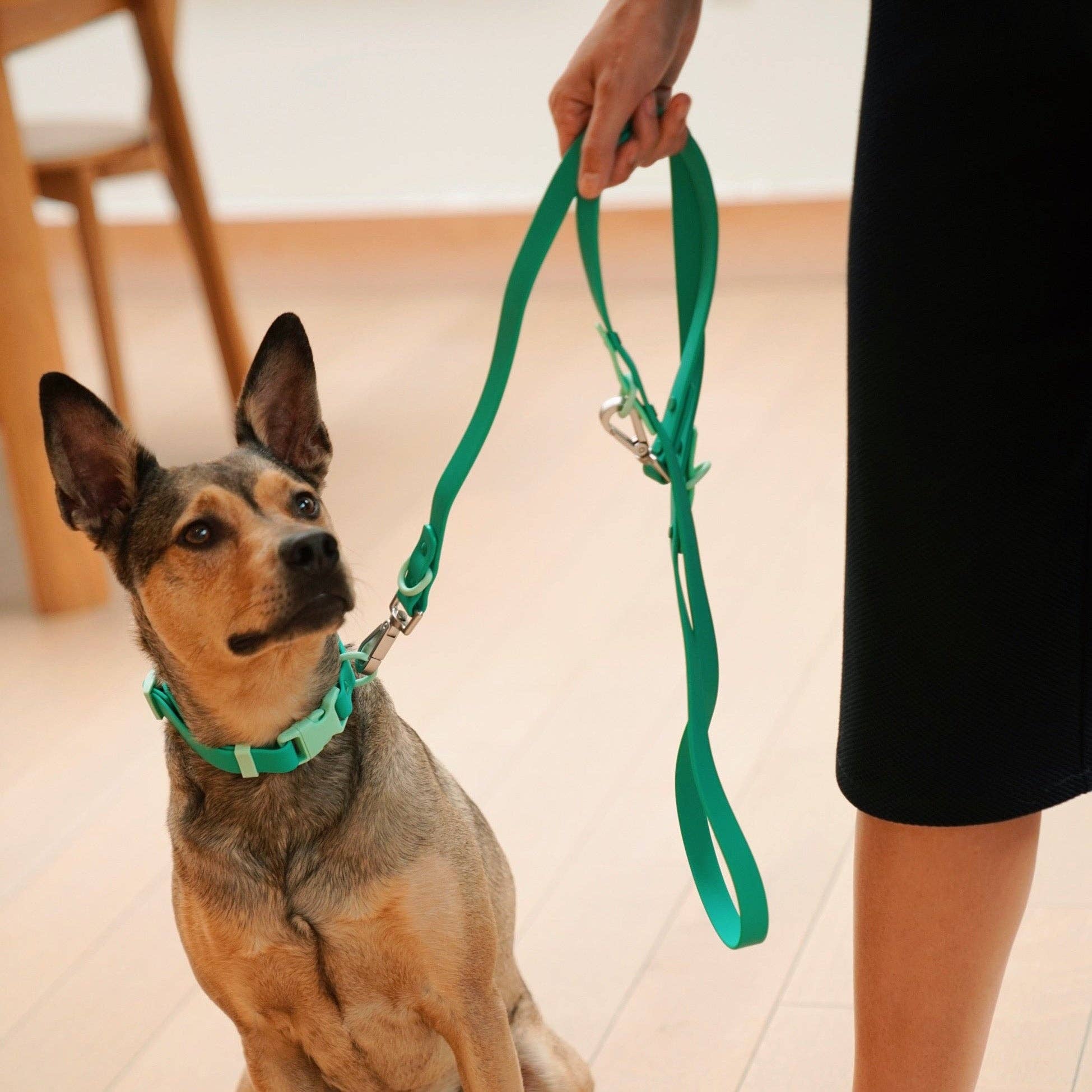 The Fritz Dog Leash | Leash wit Handle | Multi Dog Leash