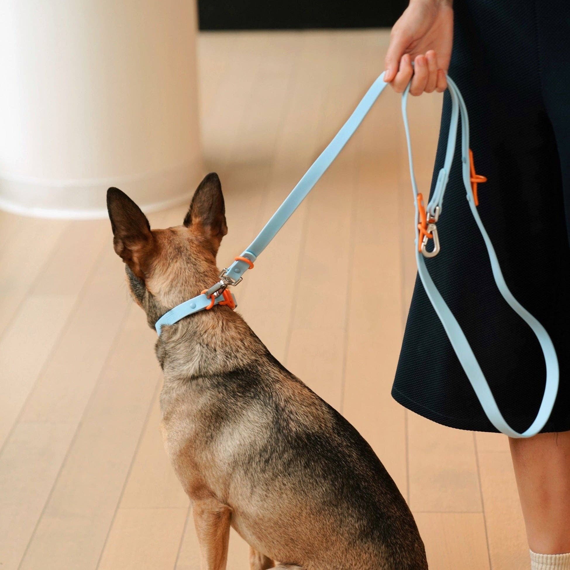The Fritz Dog Collar 
