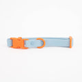 The Fritz Dog Collar 
