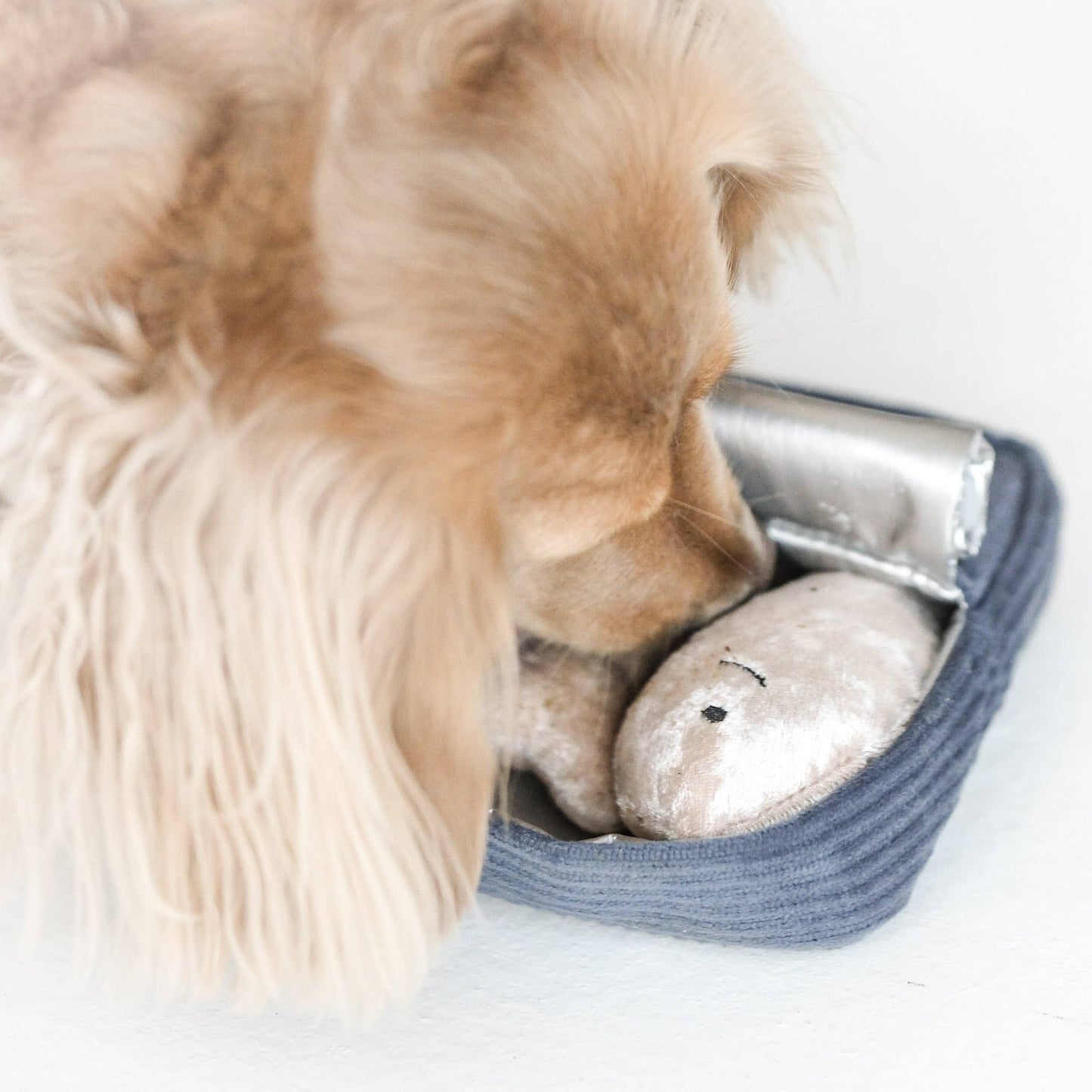 SARDINES // ENRICHMENT DOG TOY // Squeaky + Snuffle Toy